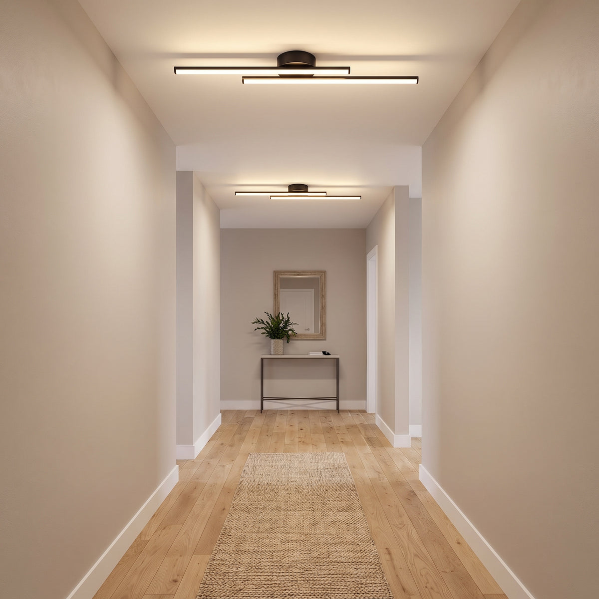 Aisle Ceiling Light With Remote Dimmer