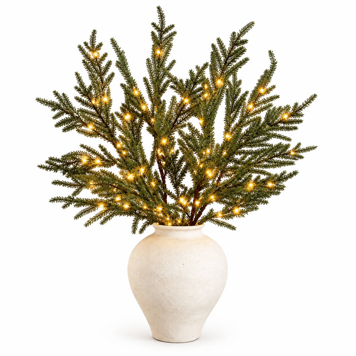 Norfolk Pine Branches