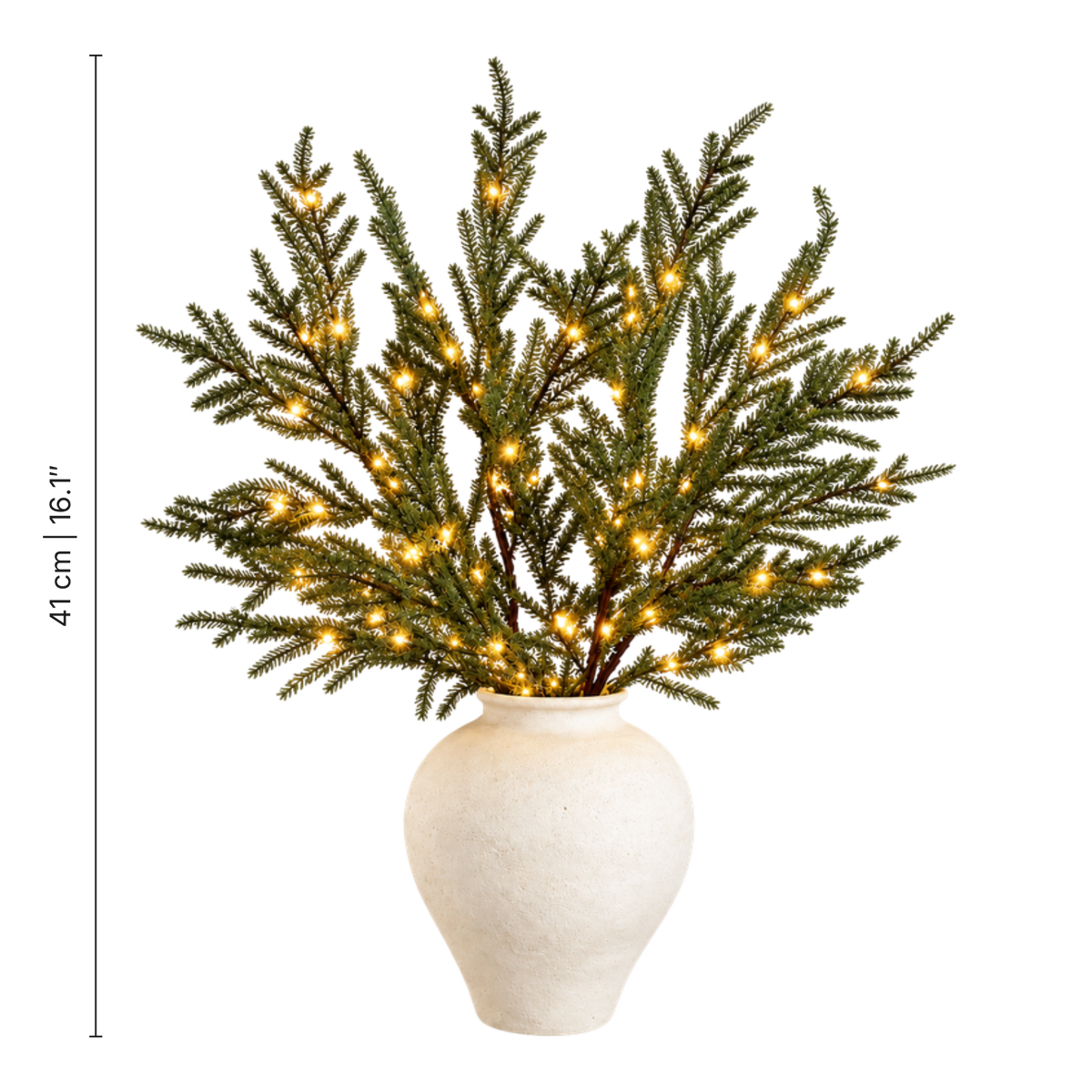 Norfolk Pine Branches